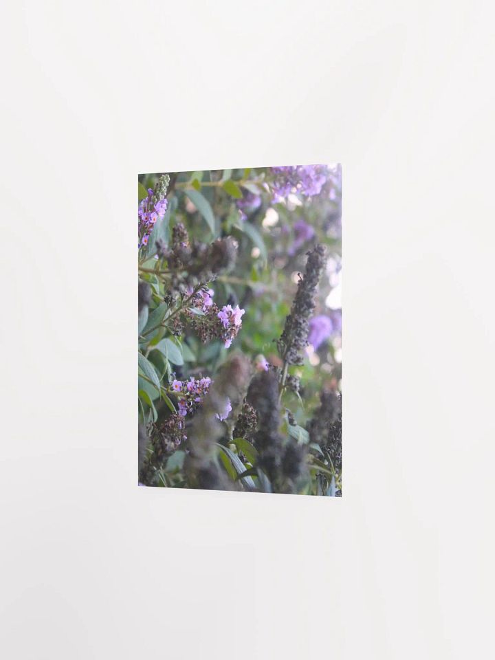 A Study in Flowers 6 product image (21)
