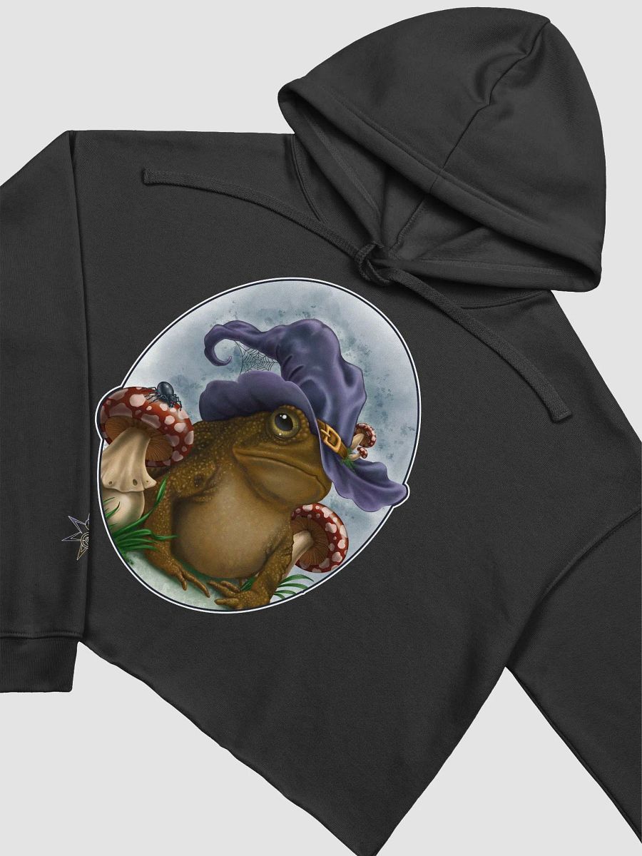 Enchanted Toad - SFA Crop Hoodie product image (3)