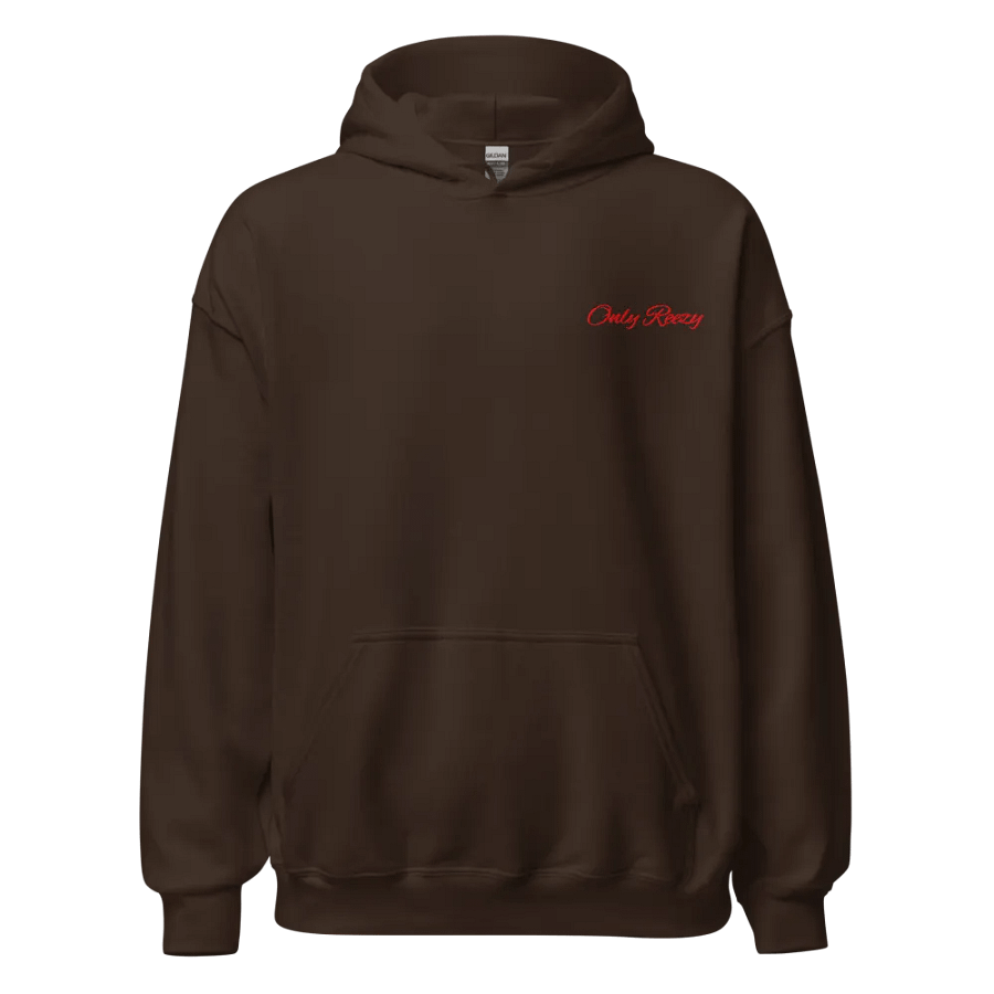 Only Reezy Classic Hoodie product image (4)