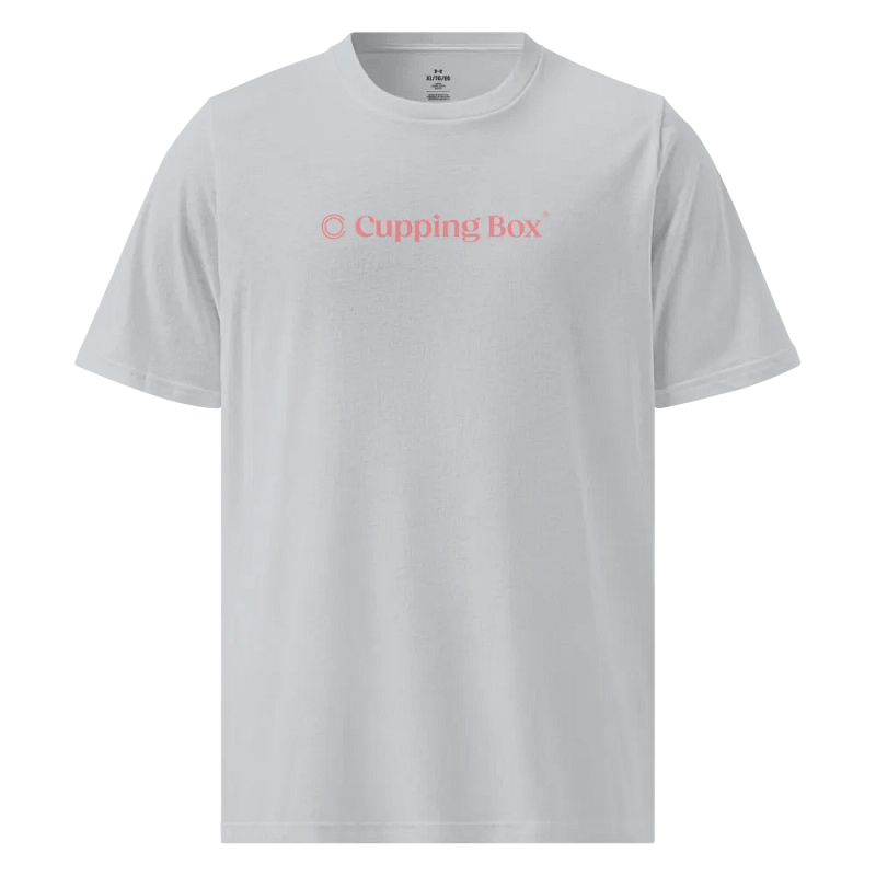 Under Armour T Shirt: Logo Grey
