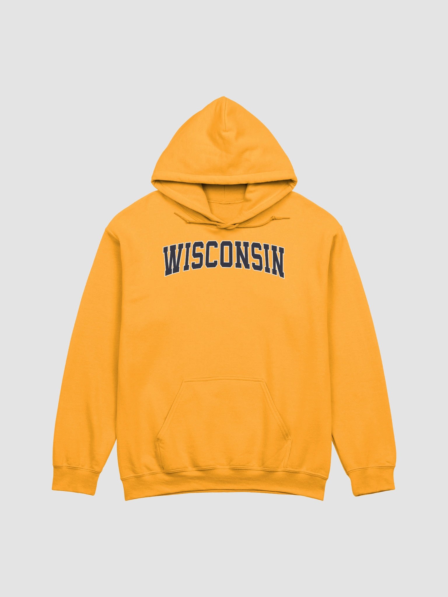 Wisconsin Vintage Stylish Classic Hoodie product image (1)