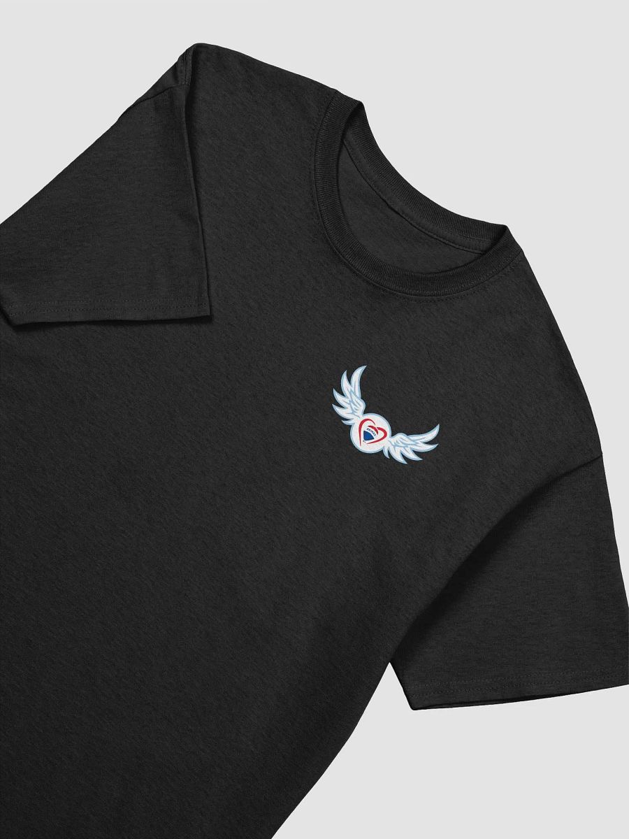 Gildan Heavyweight TEAM GORAN Winged Logo Shirt product image (8)