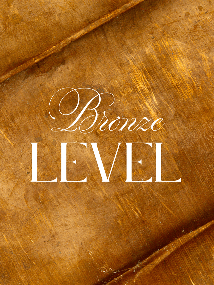 Bronze Level - Sponsorship product image (1)