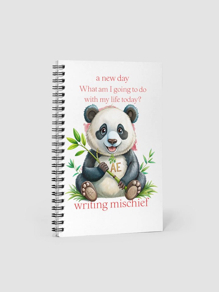 AE Panda's New Day Spiral Notebook product image (1)