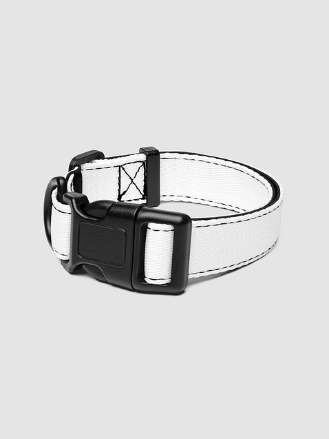 Photo showing Pet Collar