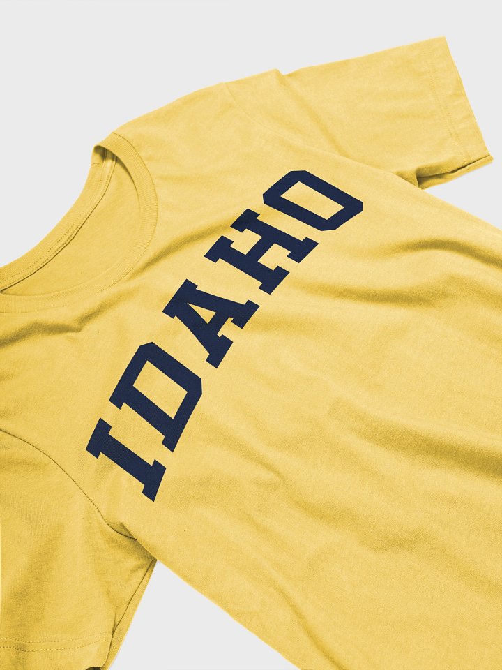 Idaho Vintage Stylish Supersoft Unisex T-Shirt product image (2)