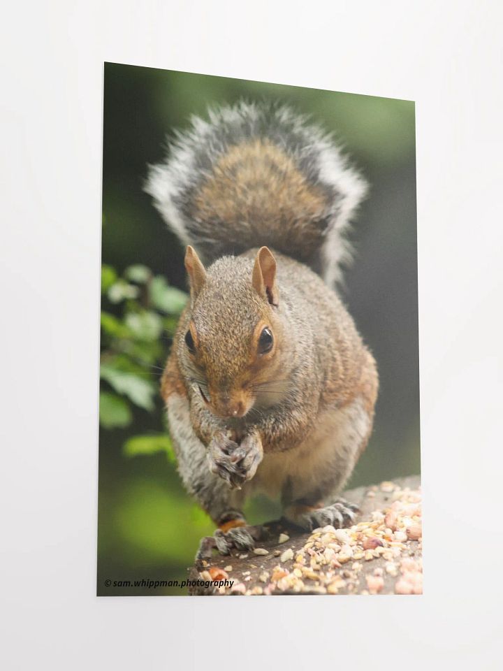 Squirrel Prints product image (4)