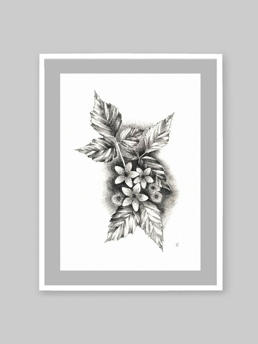 Botanical Bliss Matte Poster - Jasmine product image (8)