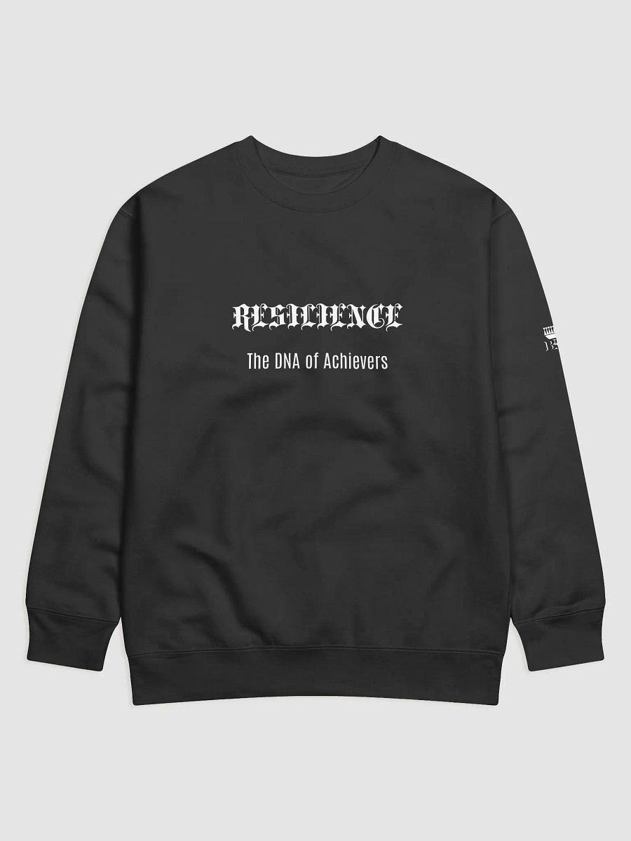 Resilience: The DNA of Achievers product image (29)
