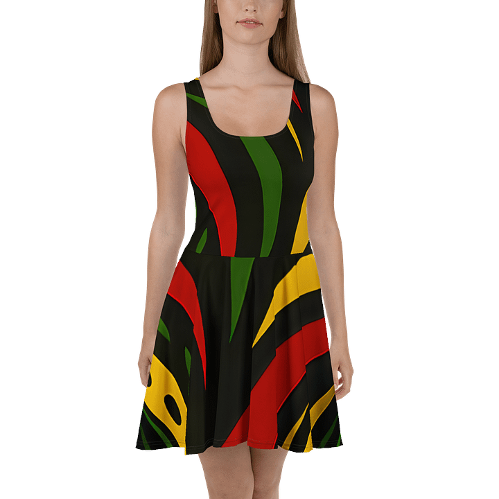 Rasta Spirit Geometric Skater Dress product image (2)