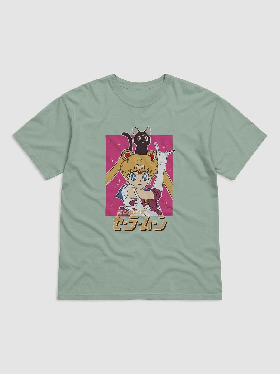 Sailor Moon and Luna Dynamic Duo product image (5)