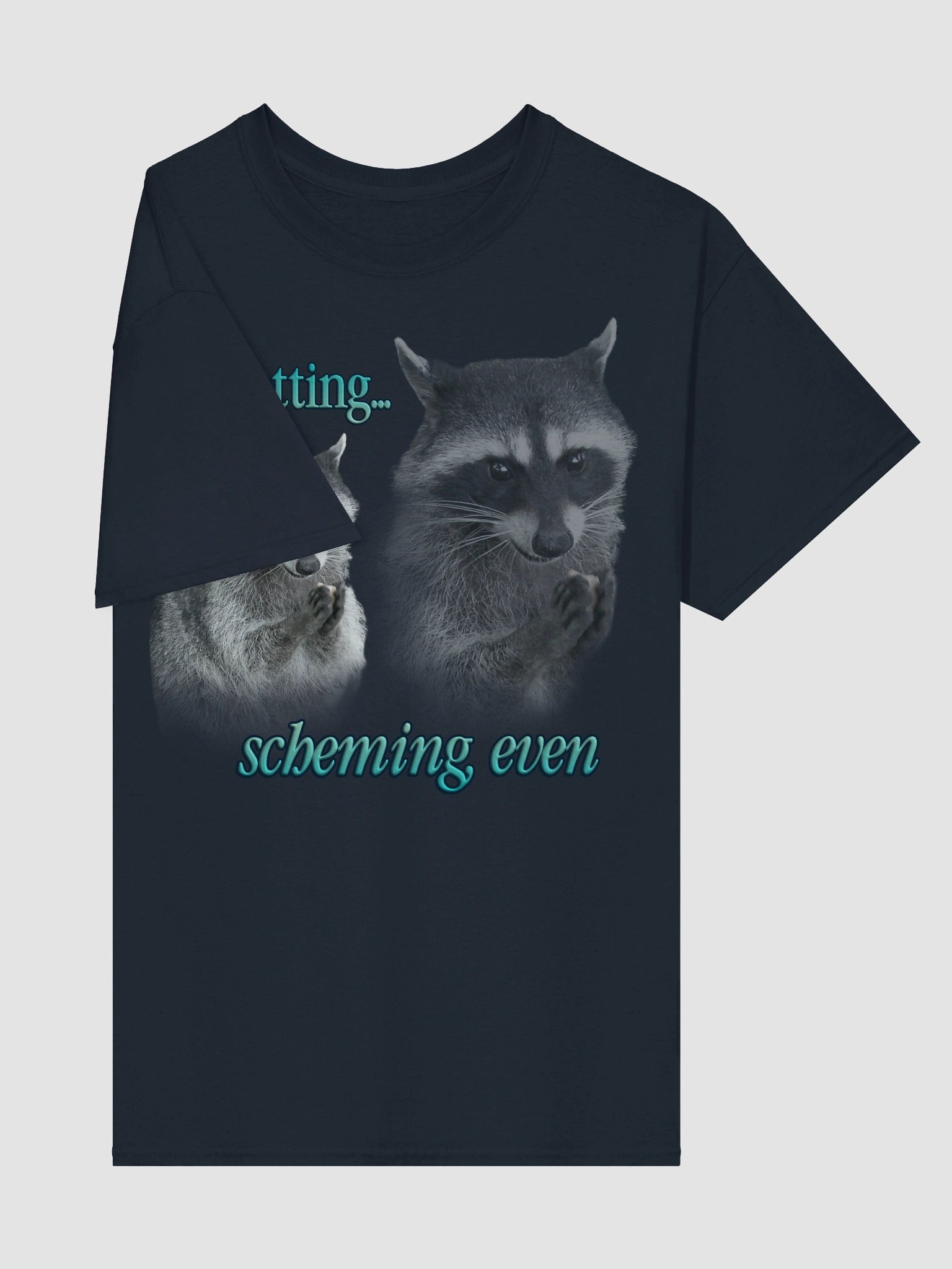 Plotting & Scheming Raccoon T-Shirt product image (5)