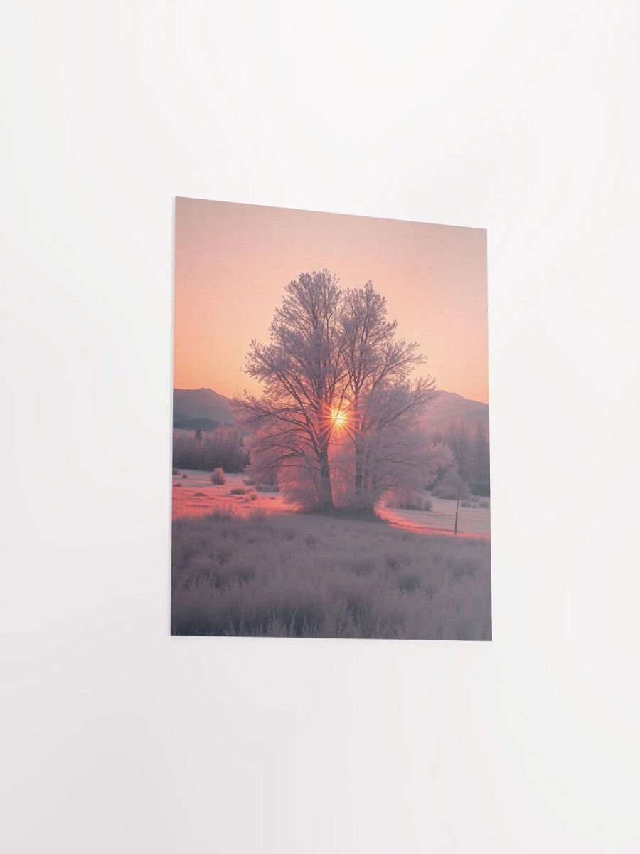 Frosty Sunrise Enhanced Matte Poster product image (10)