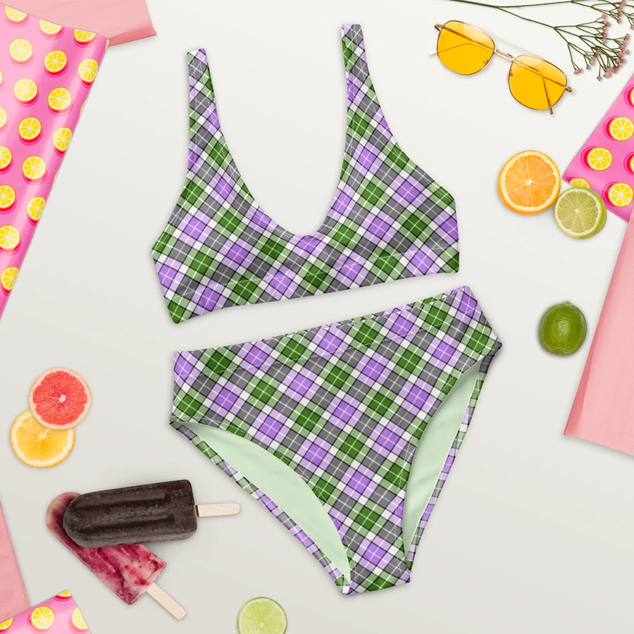 Lavender and Green Plaid Bikini product image (9)