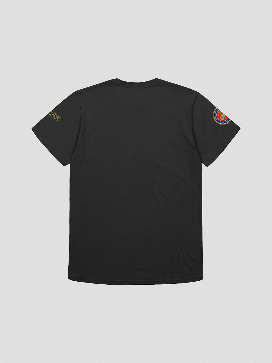 murica eagle tee product image (2)