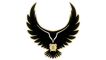 Hawk Crypto & Tech
