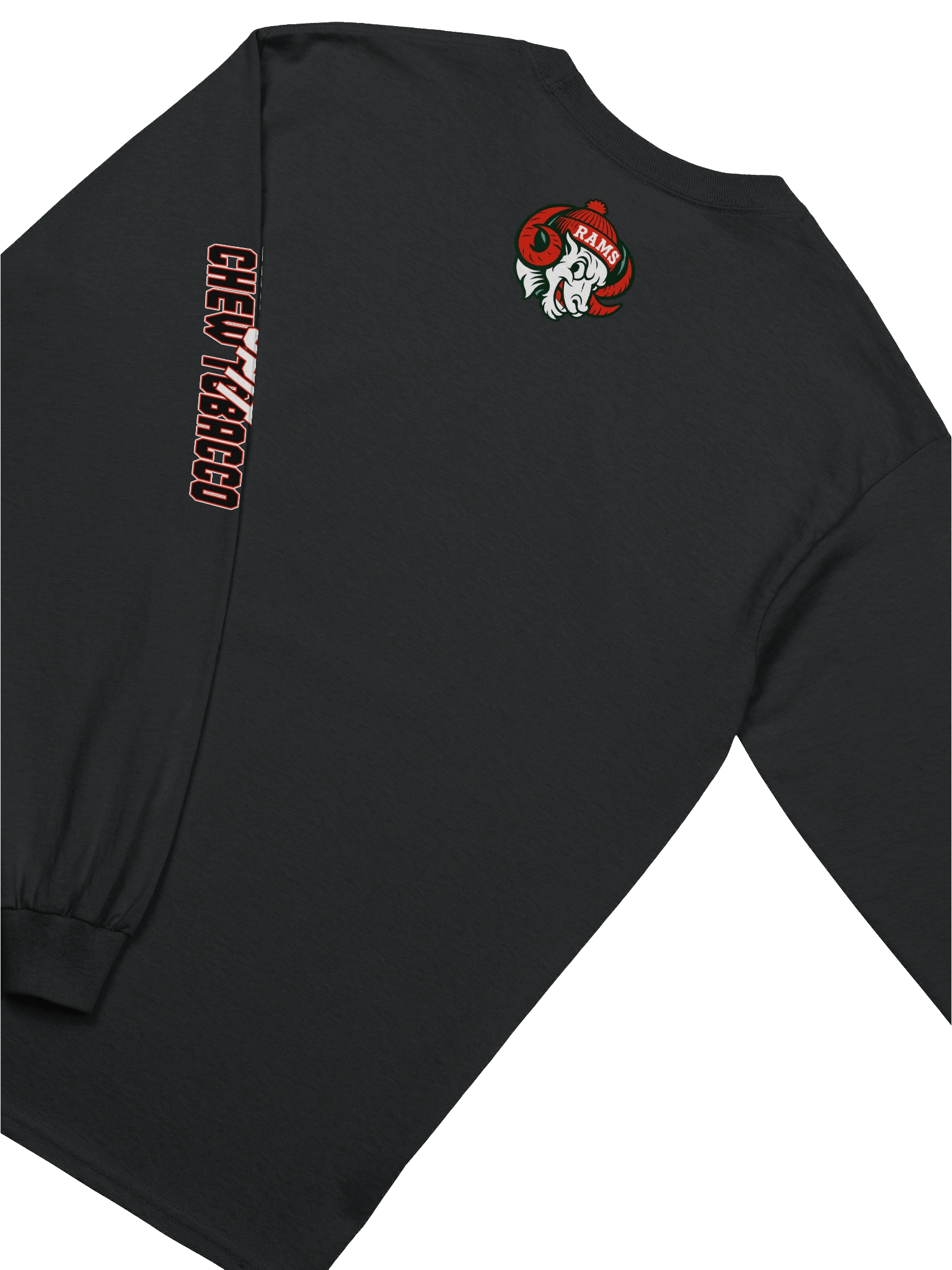 WSSU Homecoming '25 Long Sleeve product image (15)