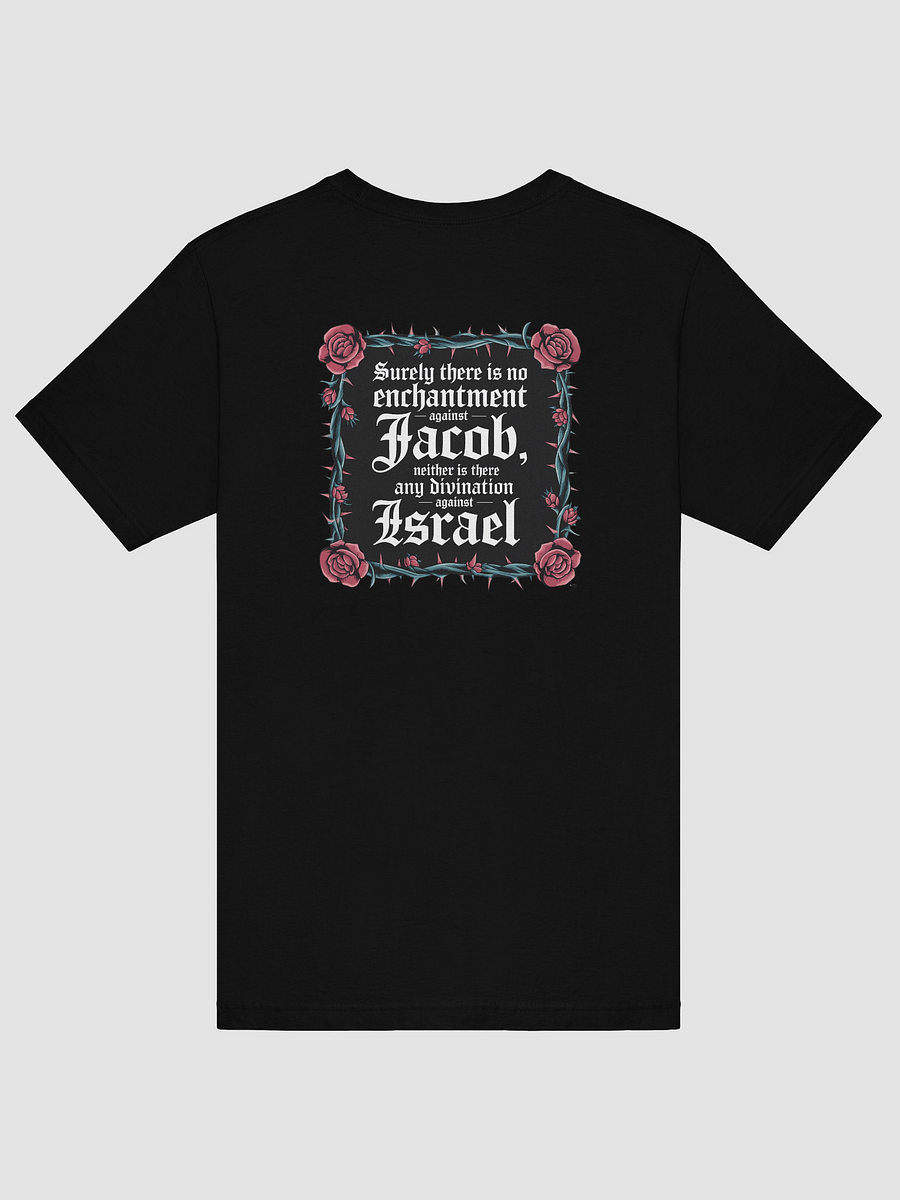 numbers 23:23 tee unisex product image (3)