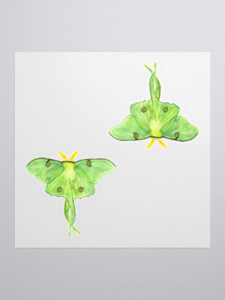 Luna Moth Sticker (x2) product image (1)