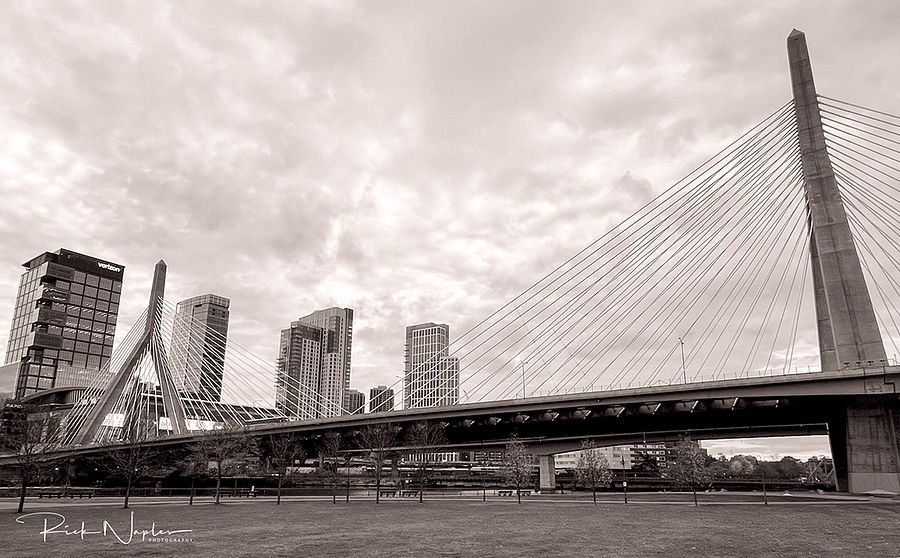 BLACK AND WHITE PHOTOGRAPHY product image (7)