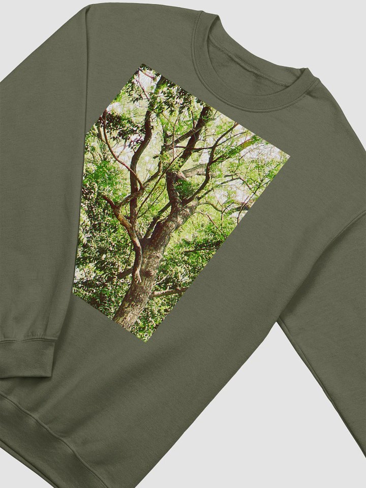 Earth tone DIVINE MUSIC sweatshirt product image (2)