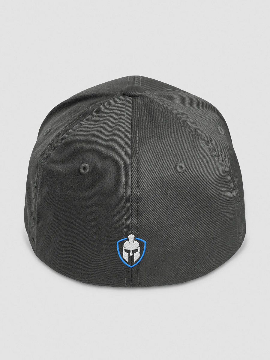 Mind Armor Hat - Fitted product image (11)