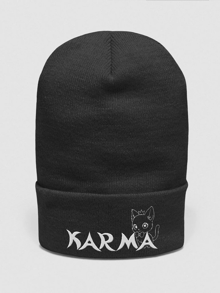 Beanie product image (2)