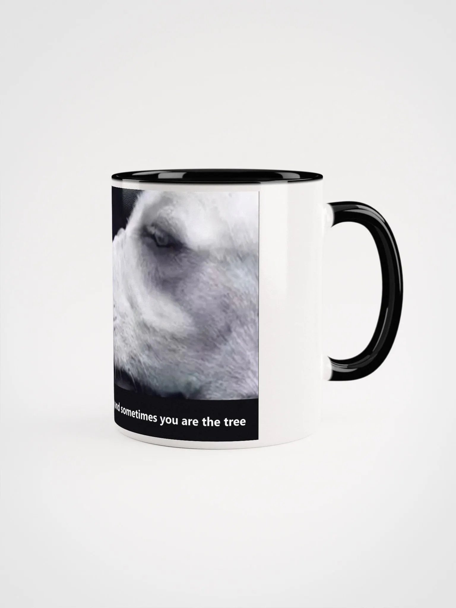 WISDOM CUP DELUXE EDITGION product image (2)