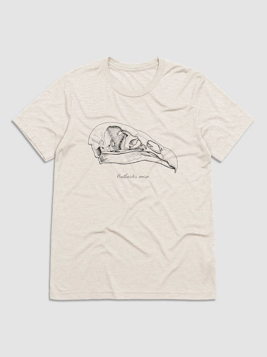 Turkey Vulture Skull product image (1)
