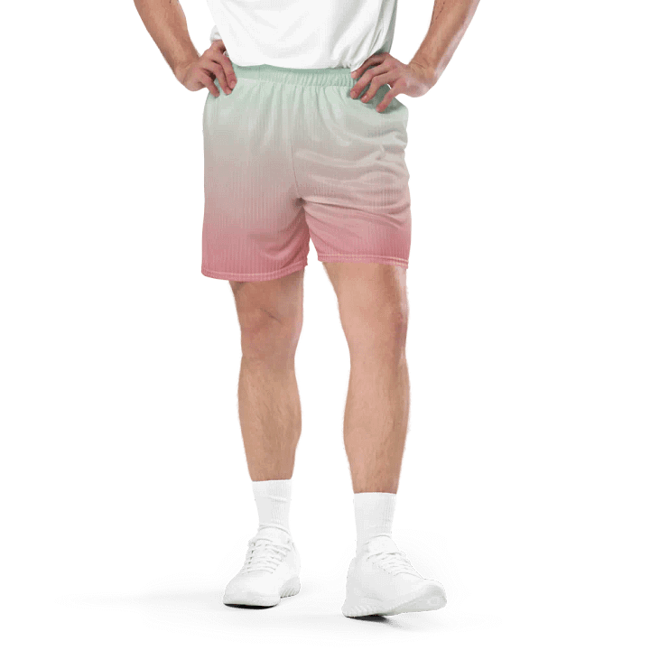 EcoChic Gradient Mesh Shorts product image (1)