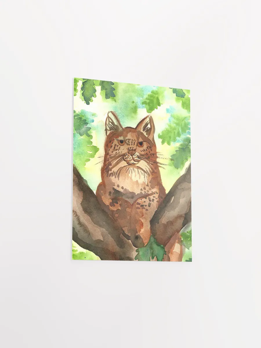 Lynx In A Tree Art Print product image (9)