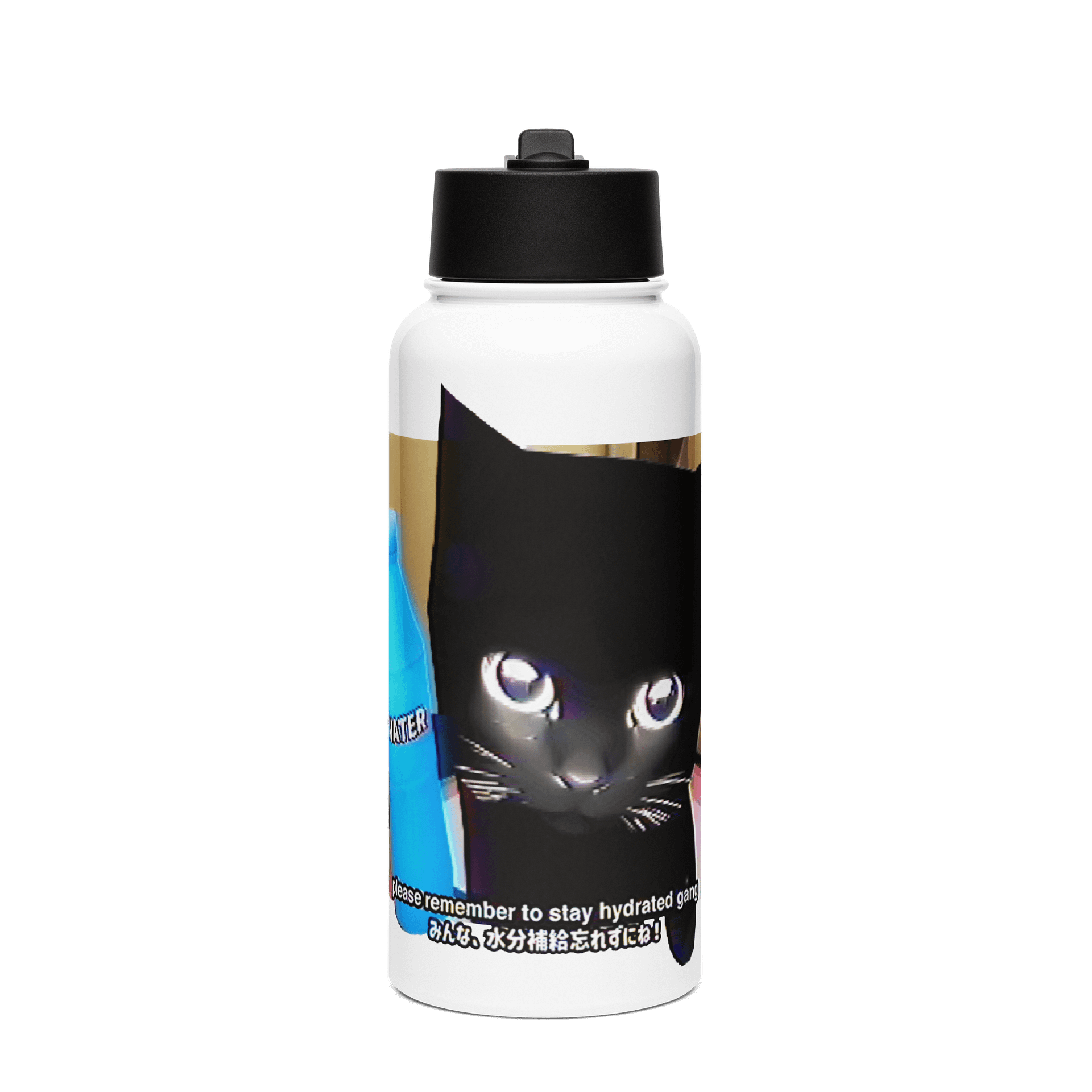 STAY HYDRATED Stainless Steel Bottle product image (1)