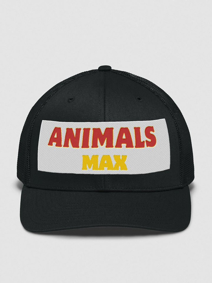 Richardson Trucker Hat product image (2)