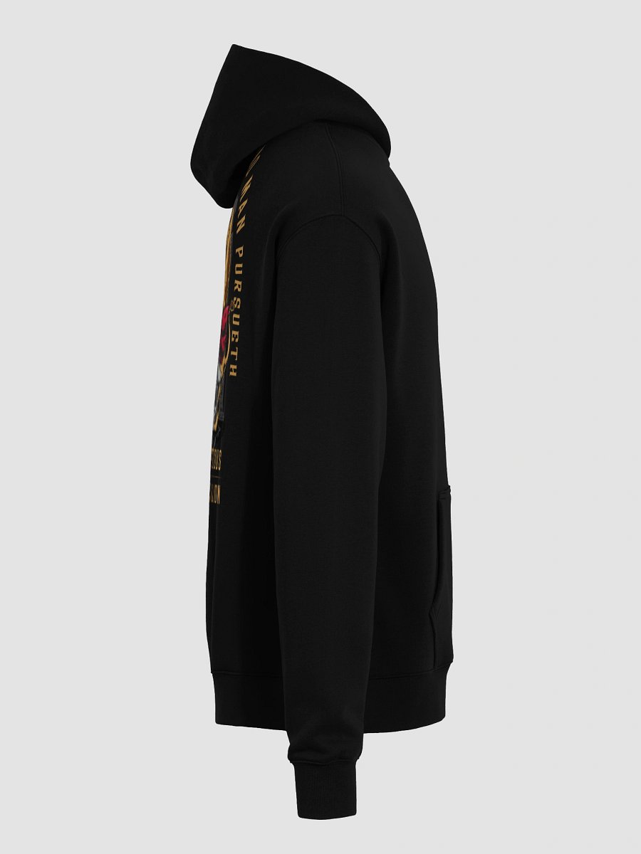 The rigtheous are BOLD as a LION Oversized Hoodie product image (8)
