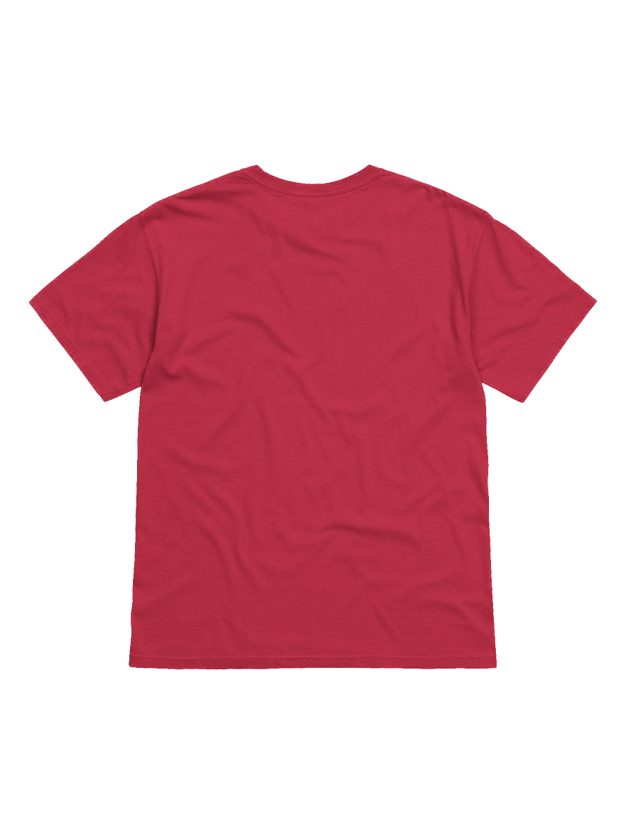Puerto Rican Flag & Coqui T-Shirt product image (22)