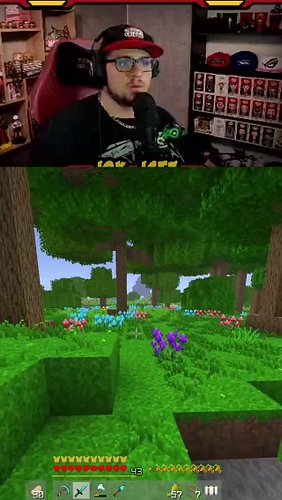 oupsi ⚡ | #joy_jstv sur #Twitch #Minecraft #Screamer #Jumpscare #stream