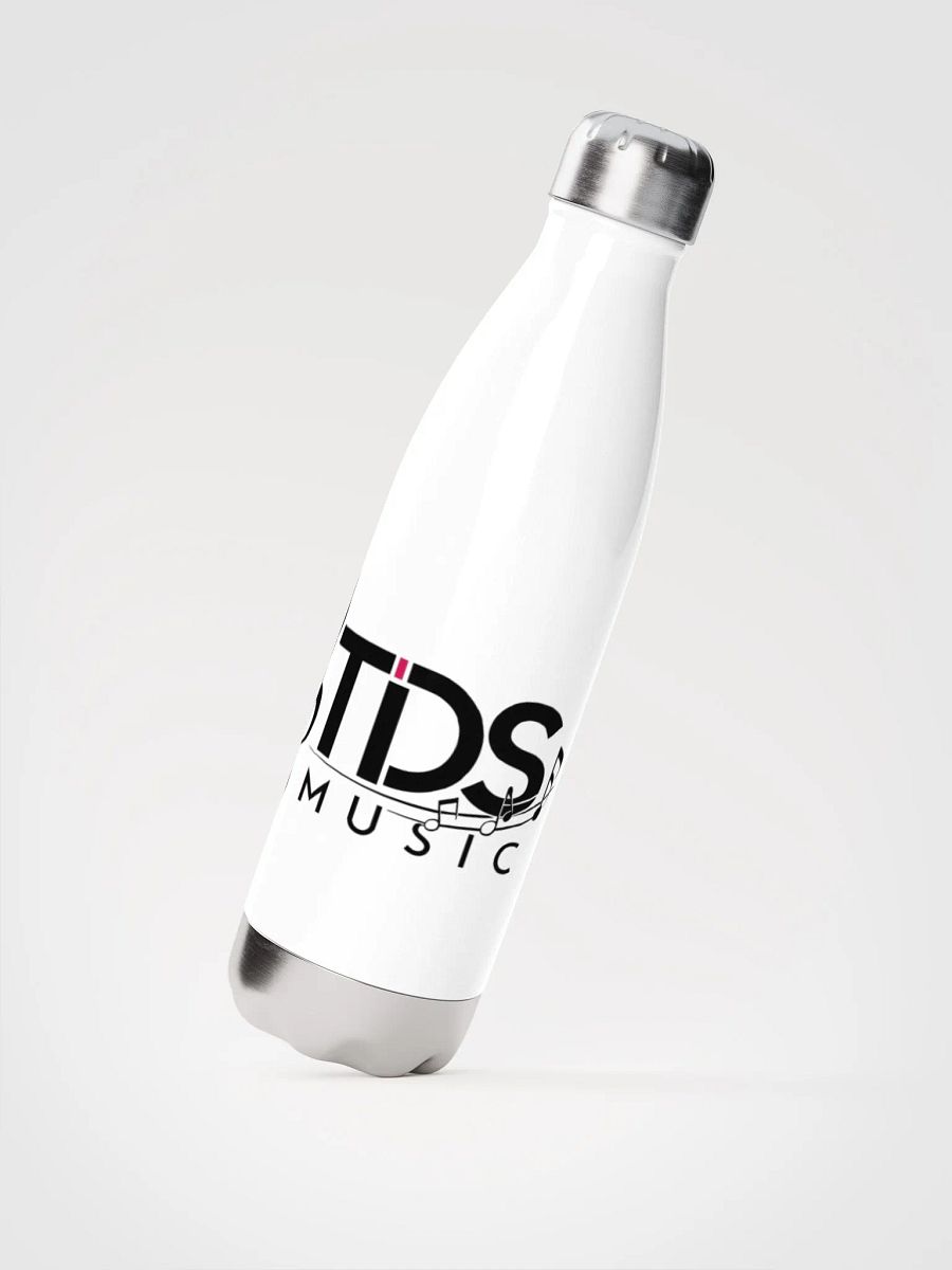 TDS Music Insulated Stainless Steel Water Bottle - 17oz, White product image (2)