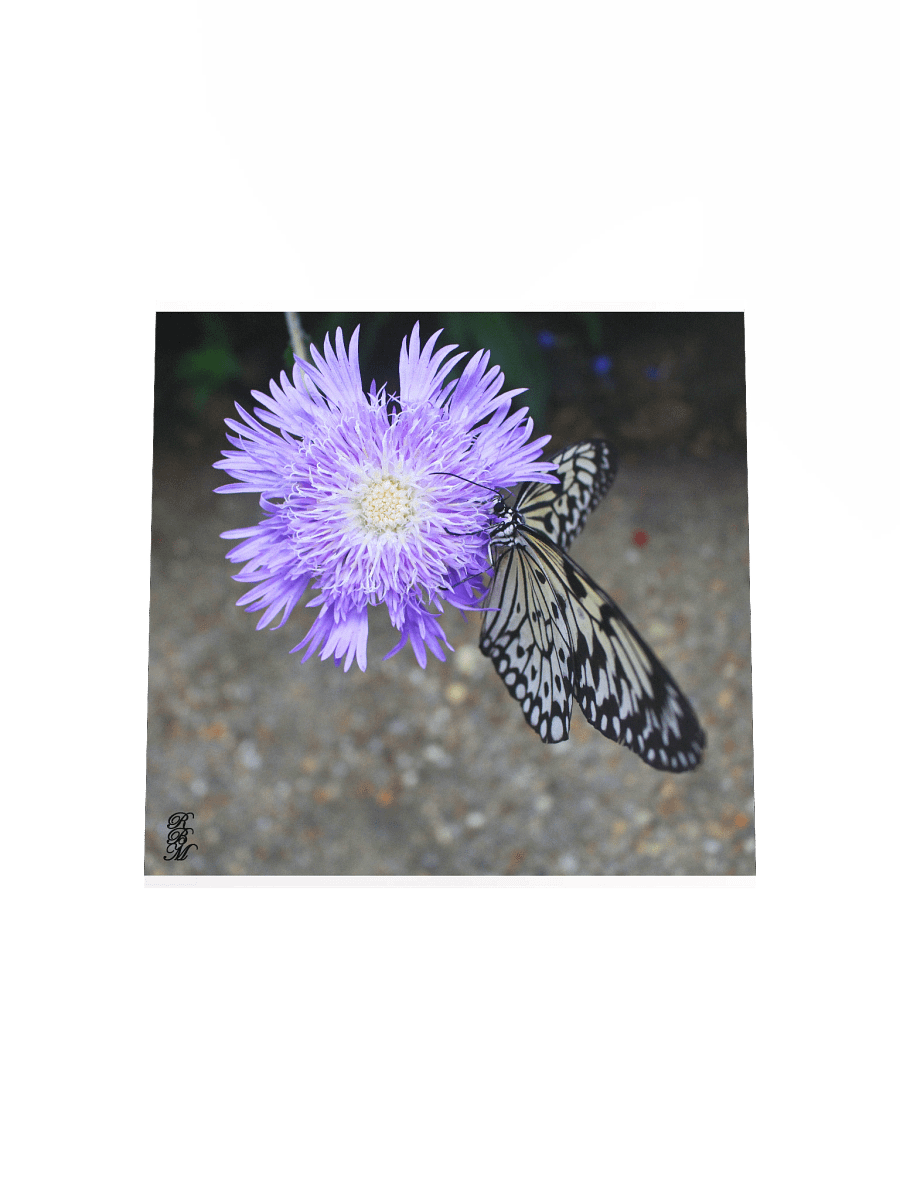 Yellow Butterfly on Purple Flower product image (17)