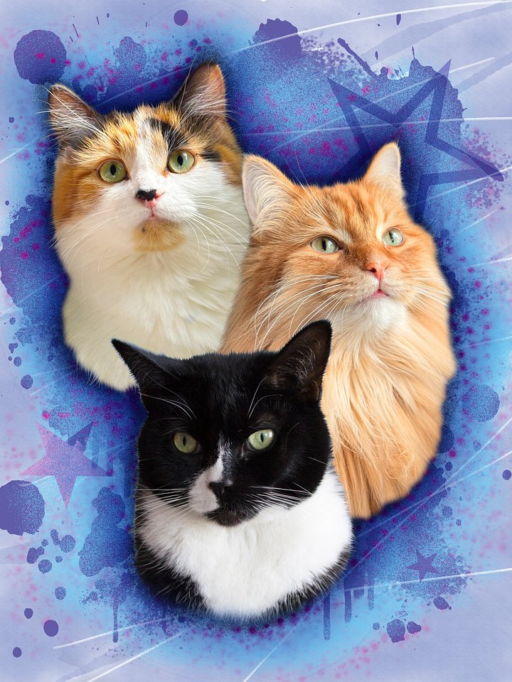 Fluffy Family Throw Blanket product image (2)