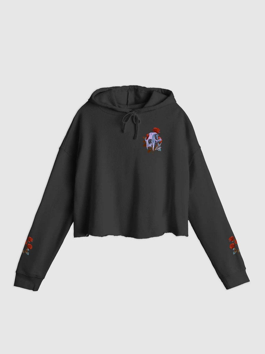 Soul Carrier Cropped Hoodie product image (2)