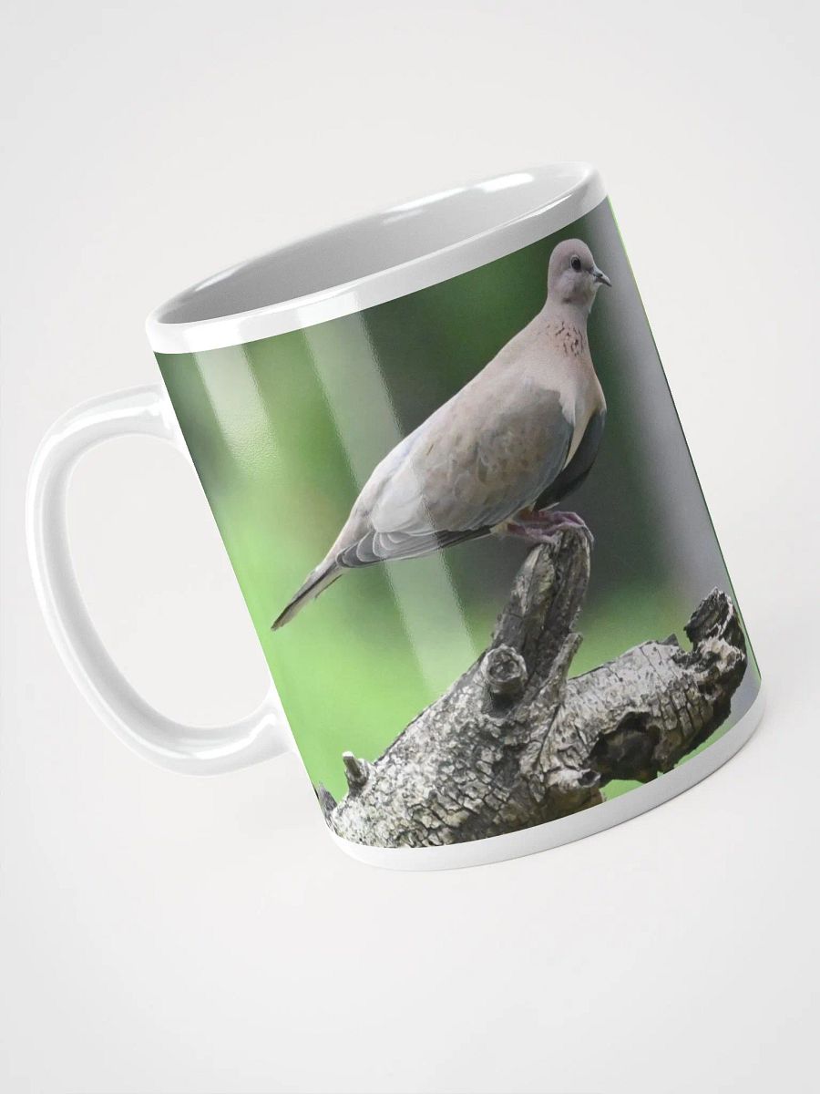 IUCAA Birds MUG product image (3)