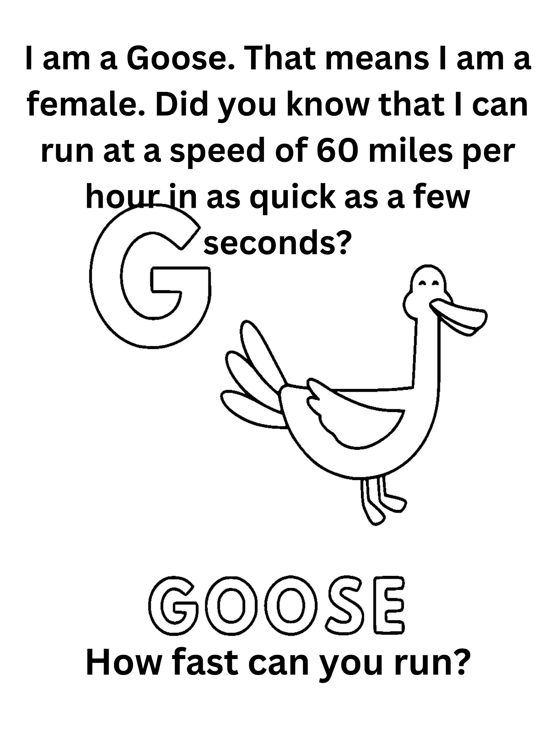 "Did You Know" Animal Facts Alphabet Coloring Pages product image (8)