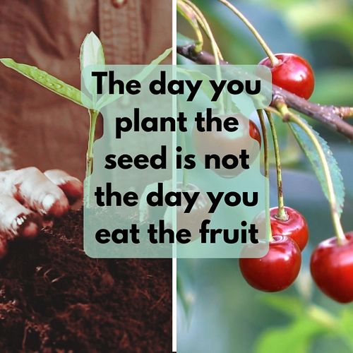 #motivation - have a great week

#topzmart #plantseeds #positivevibes #goodvibes #purpose #motivational #inspire