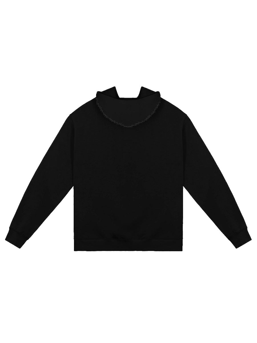 Pheonix Oversized Hoodie product image (2)