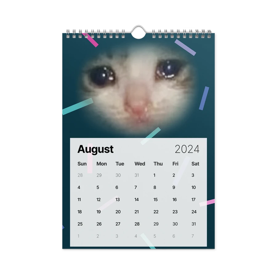 Wall Calendar (2024): Meme Cats product image (4)