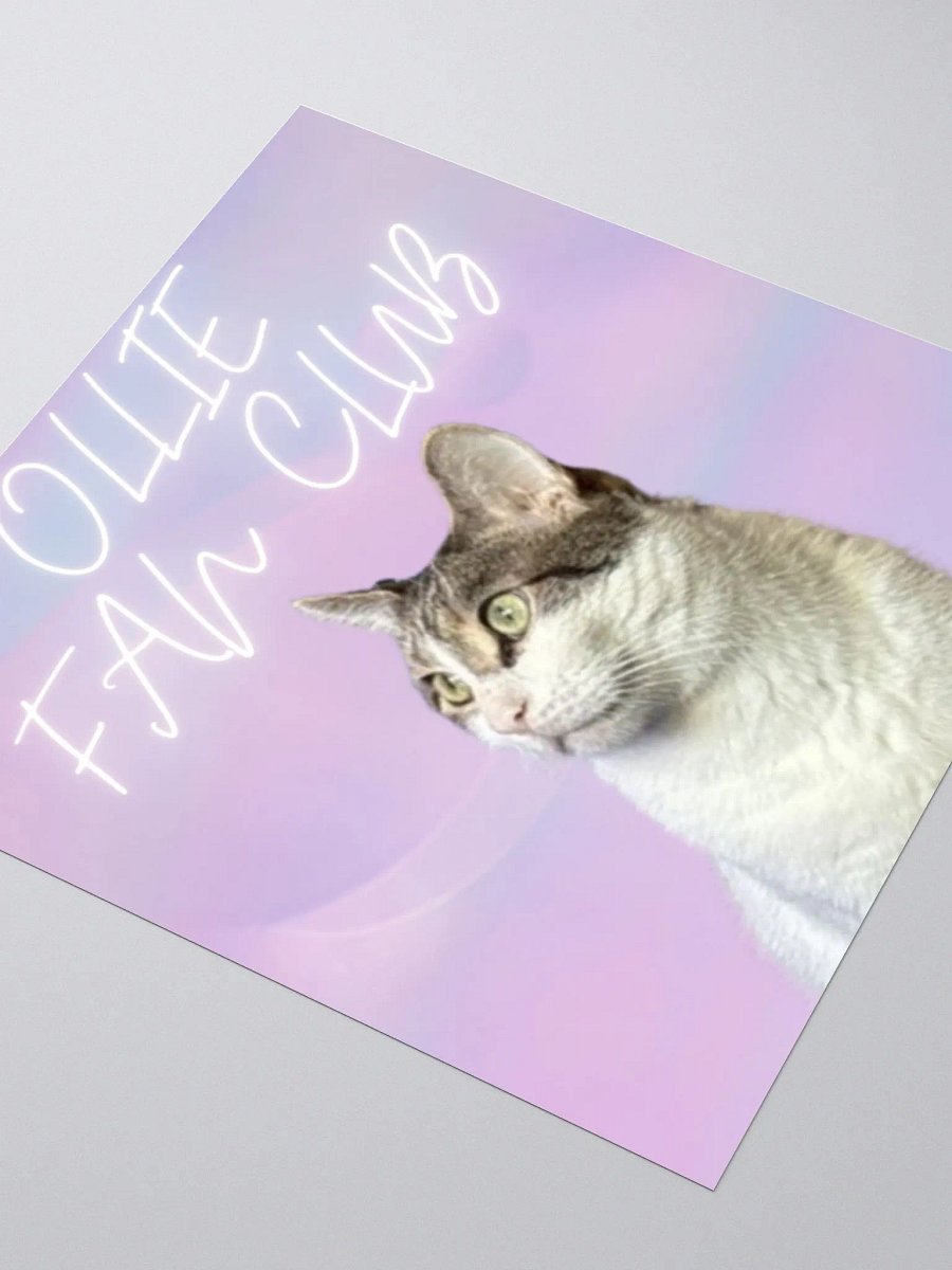 "OLLIE FAN CLUB" Sticker product image (5)