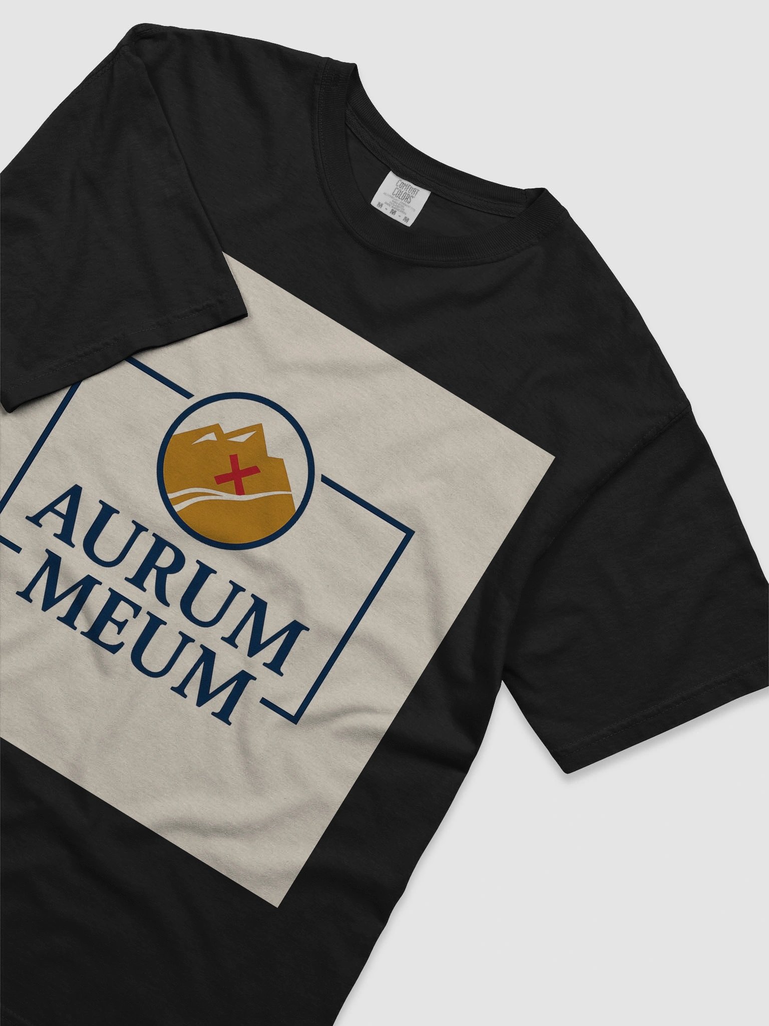 Aurum Meum $GOLDY product image (5)