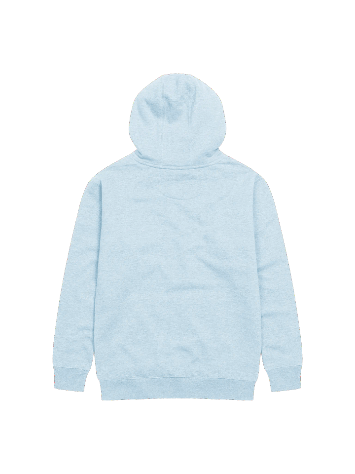 Mich Logo Hoodie product image (4)