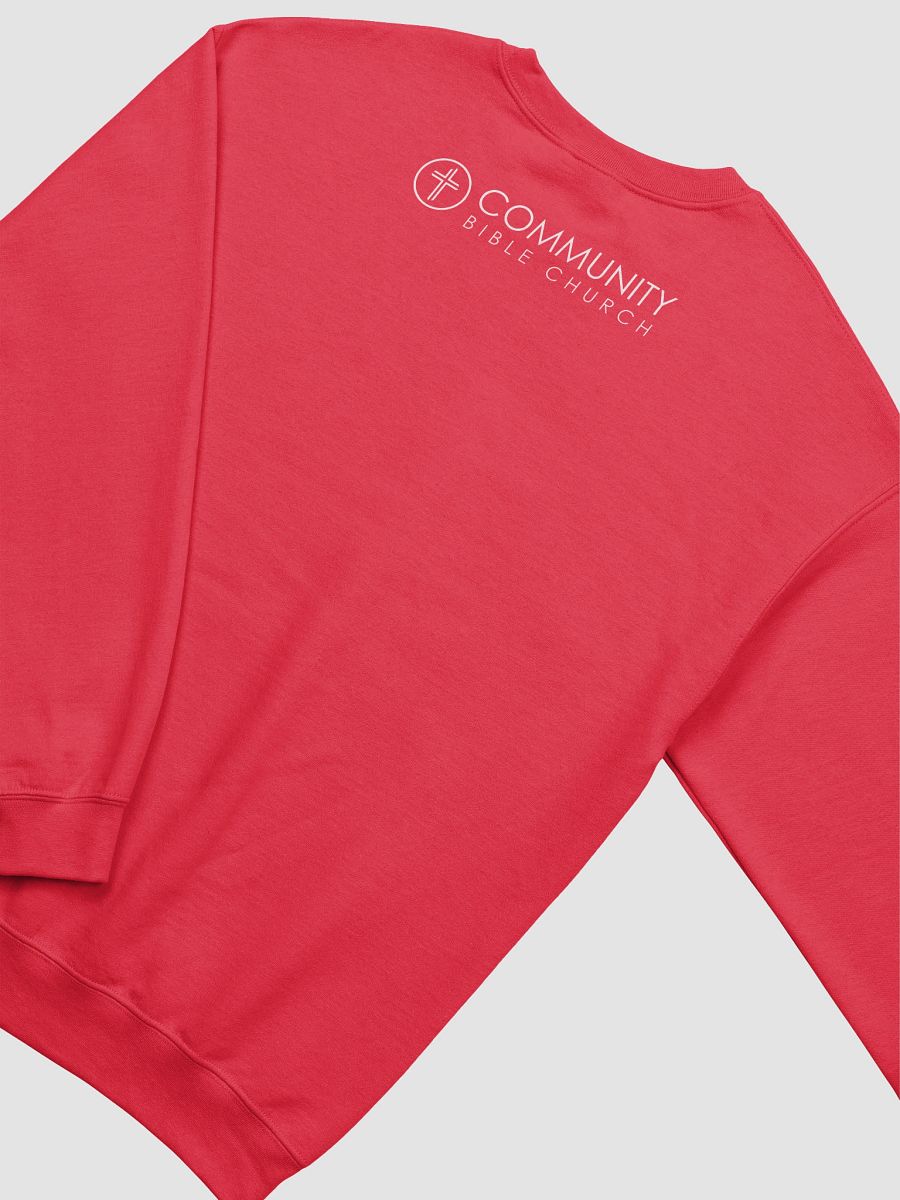 Community Kids Logo Sweatshirt product image (36)