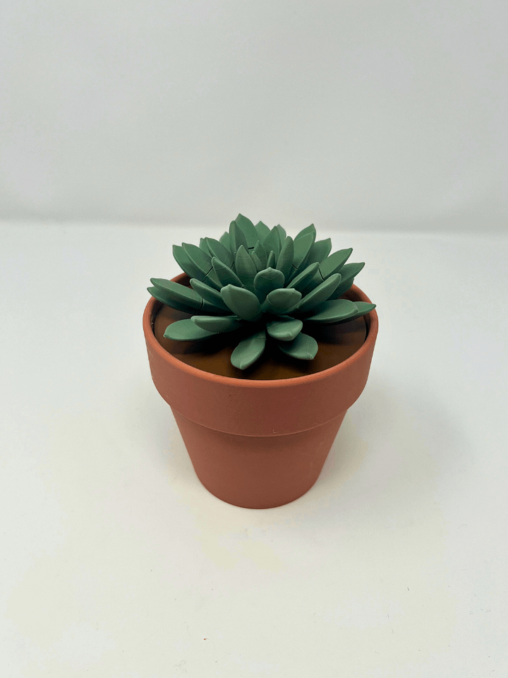 Push Pin Succulent (3D Printed) product image (2)